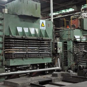 Interior Door Faced Natural Bicolor Tulip Wood Veneer Straight Grain 2440 /