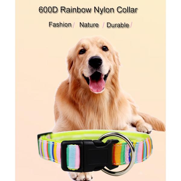 C508 Shenzhen Manufacturer Cute Cheap Price Custom Logo Fashion Sublimation Pet Dog Collars and Leads
