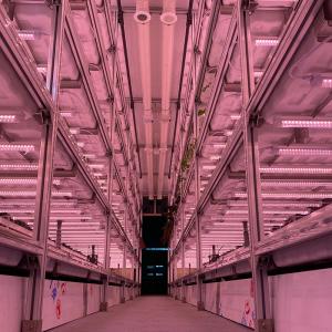 LED Light Indoor Hydroponic Farm Container with Climate Control