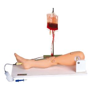 Quality Bone marrow puncture Human Patient Simulator right leg for college , school training for sale