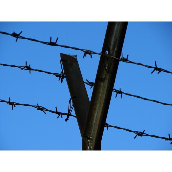 Silver Electric Galvanized Security Barbed Wire Low Carbon Steel BWG 12 14 16