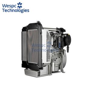 WESPC Perkins Diesel Generator With Engine 1104D-E44TAG Electric Generator