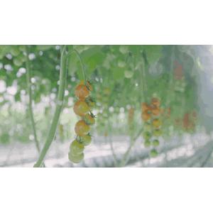 660nm 3000K High PPFD LED Grow Light