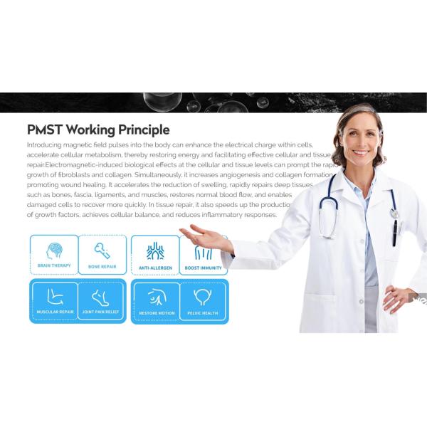 Portable Magnetic Therapy Loop High Intensity Physio Magnetic Machine