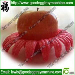 EPE Plastic Packaging Fruit Tray