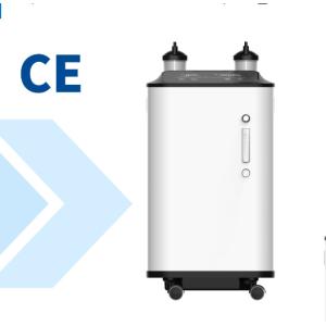 96% Concentration Led Display Ce Home Oxygen Concentrator 10 Liter