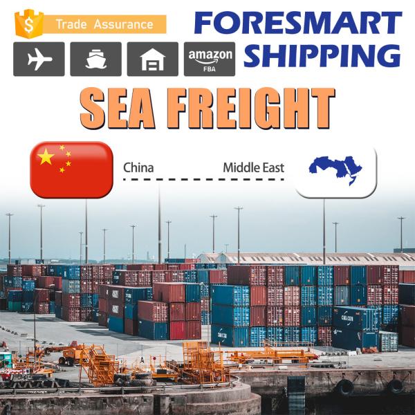 Buy Freight Forwarder China To Middle East FCL Sea Freight at wholesale prices
