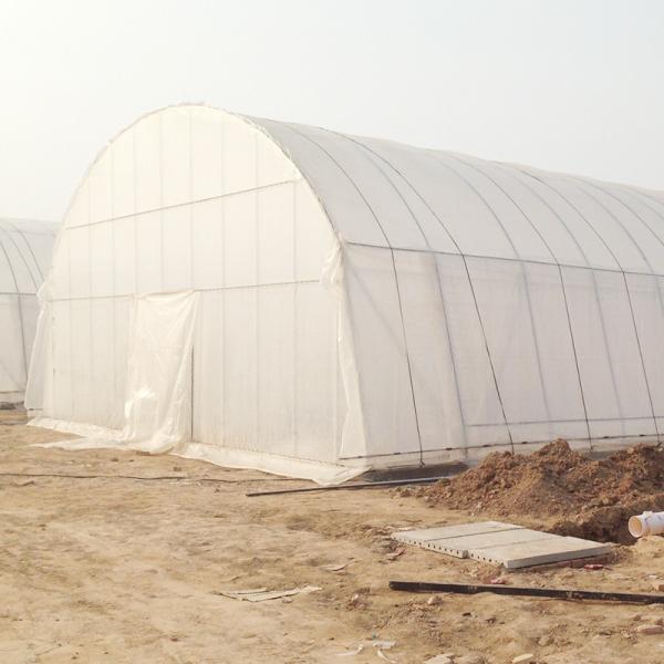 Buy Stable Structure Agricultural and Commercial Tunnel Greenhouse at wholesale prices