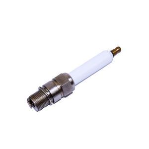 OE Standard Quality Industrial Spark Plug R9B12-77 Torch Spark Plug Replacement