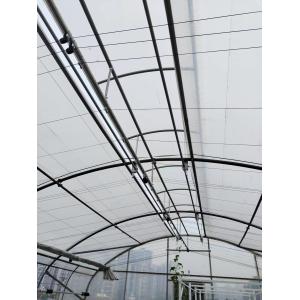 Double Layer PE Film Multi Span Film Greenhouse With Hydroponic System