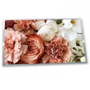 China M080AWP8 R1 High-quality Services 8 Inch Automotive Display 1024*600 Good Price Lcd Display Screen on sale