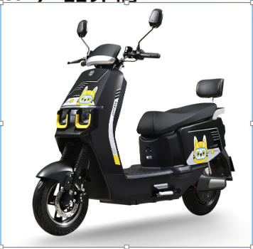 Electric motorcycle RY Motor 72V800W Battery 72V32AH Brake System Disc