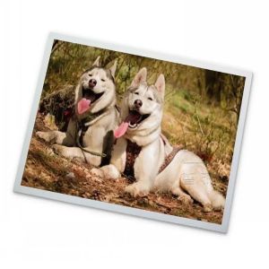 10.4'' 640*480 CSTN LCD Panel LM-DD53-22NTK STN Type