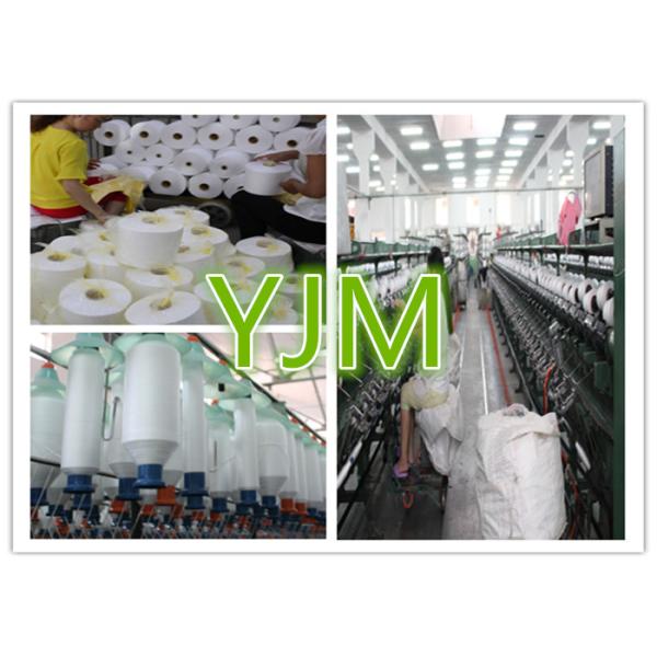 Raw White Polyester Sewing Thread yarn , 30/2 High Twist Yarn AAA Grade Virgin Bright