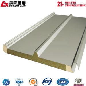 China Green Environmental Protection Thickness 100 Roof Board Wall Panel on sale