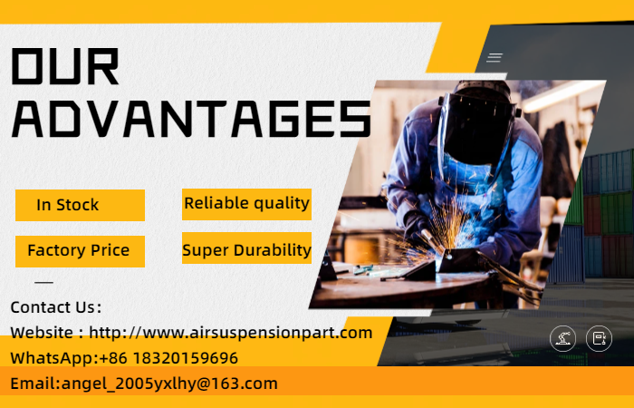 Reliable Quality Rear Shock Absorber with ADS Mercedes-Benz CLS Class C219 2193260400 ﻿