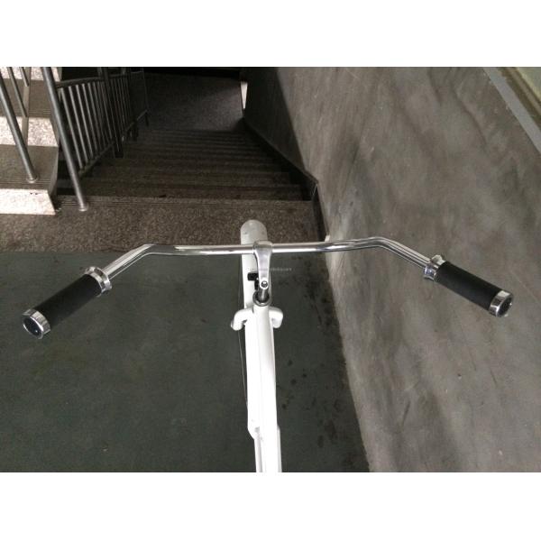 OEM Steel Frame Disc Brake Beach Cruiser Bicycle for American Market Mid-Year Sale