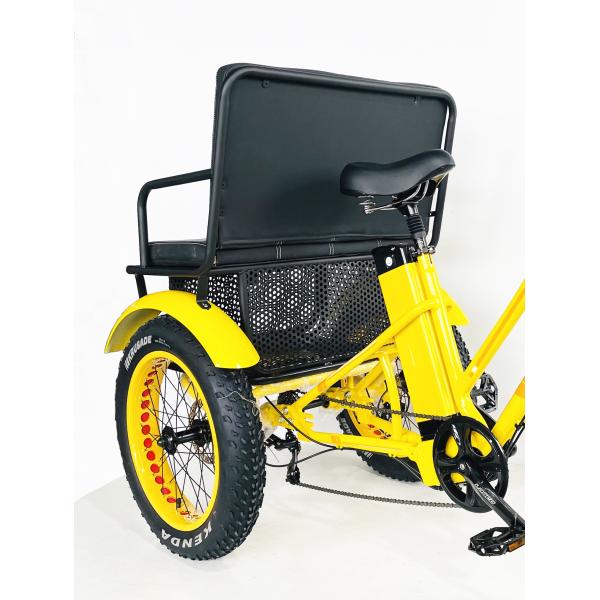 US Fat Tire Electric Passenger Tricycle with 1000W Bafang Motor and Aluminum Pedal