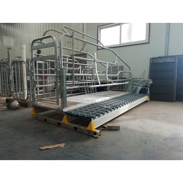Buy Excellent Durability Pig Farrowing Crate Dairy Farm Livestock Equipment at wholesale prices