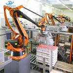 High Precision Automatic Palletizing Systems Robot Arm 180Kg Load IP65
