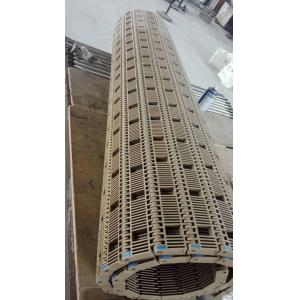 Plastic Belt with Flights and Hooks/Modular Plastic Conveyor Belt