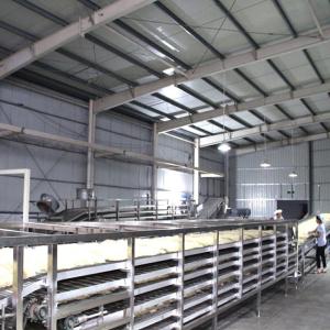 High Automation Ramen Noodle Equipment Fresh Noodle Making Machine SUS304