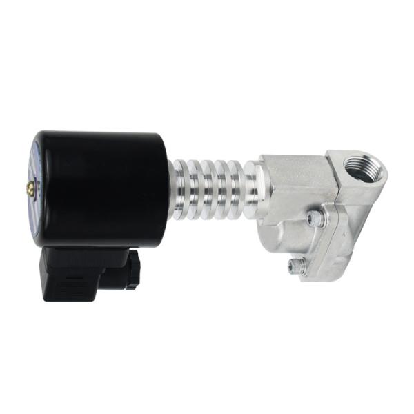 300 Degree High Temperature 24V Stainless Steel Steam Solenoid Valve With PEEK Seals