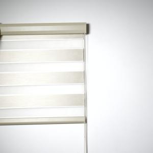 Horizontal Window Shade Blind Zebra Dual Roller Blinds