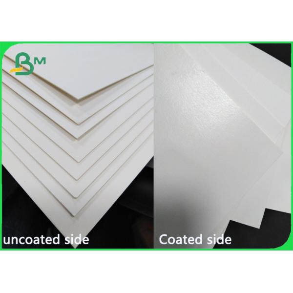 445gsm White Cap Liner Board Material with Poly coated 445gsm White Cap Liner Board Material with Poly coated