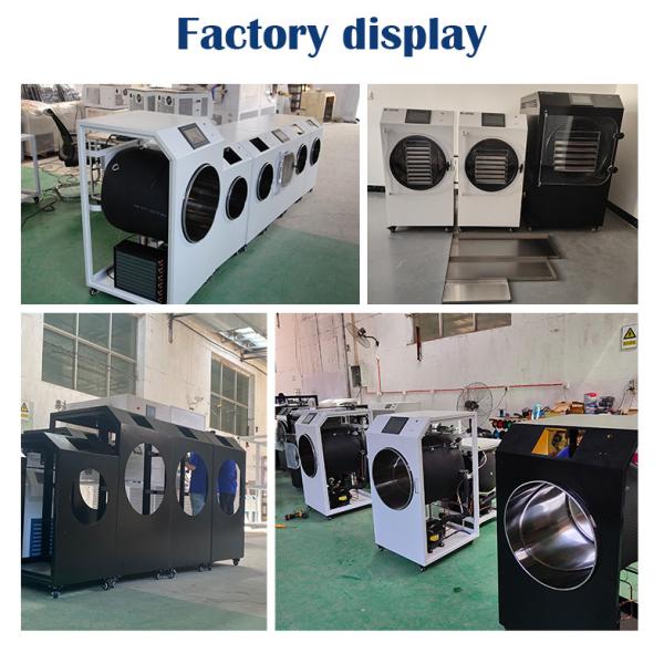 Double Compressor Vegetable Freeze Dryer Fruit Flower Vacuum Freeze Drying Equipment
