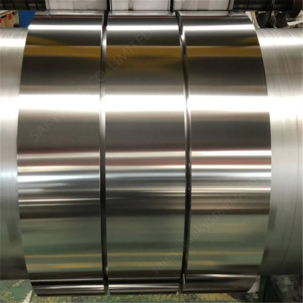 Hot/Cold Rolled 304 304L 316 316L 317 321 309S Stainless Steel Roll Strip