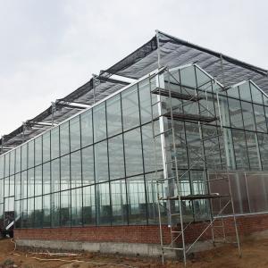 Advanced Hydroponic System for Growing Vegetables in Agricultural Greenhouses