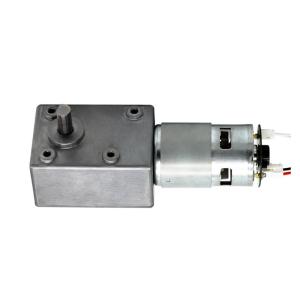 Double Shaft Brushless Electric Motor 36V For Tools Electric Fans