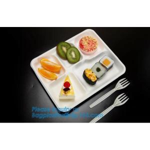 Compostable custom environmental biodegradable trays disposable sugarcane pulp