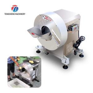 Carrot radish Ginger Shredding machine Bamboo shoots Cutting processing