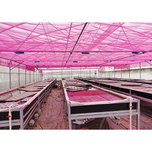 Quality Durable Nutrient Recycling Deep Water Grow System Recirculating Dwc System for sale