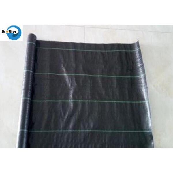 Weedmat /Weed Control Fabric /PP Woven Ground Cover /Ground Cover Fabric with UV