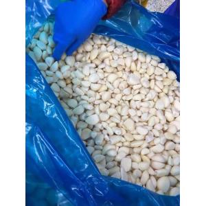 Get the Best Frozen Vegetable Frozen IQF Peeled Garlic Cloves Dices and Puree at