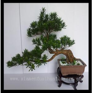 Quality Hot Sell Artificial Bonsai Tree for sale