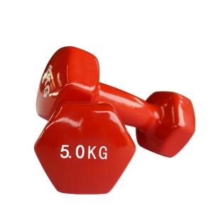 Thin Arm Dip Plastic Dumbbells 5kg Eco Friendly 2kg Ladies Dumbbells