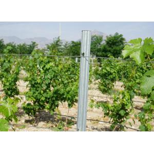 Vineyard Accessories Metal Trellis Posts Easy Installation Anti Corrosive