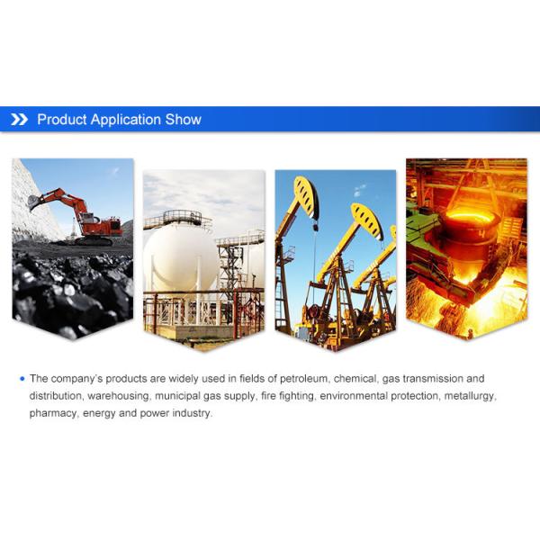 100ppm Explosion Proof Fixed Gas Detection Equipment With Relay Output 20mA