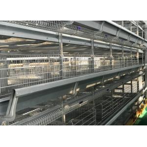 China durable poultry raising equipment Feeder System low energy consumption on sale