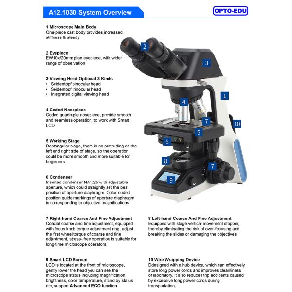 A12.1030-B Laboratory Binocular Compound Light Microscope 100x