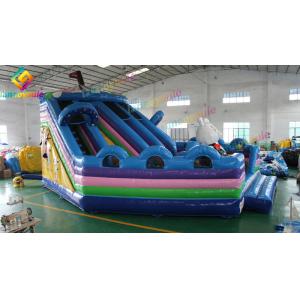 High Security Circus Inflatable Play Park / Bounce Inflatable Park
