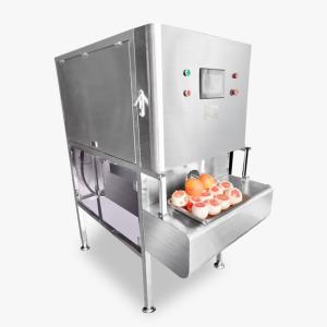 Industrial Fruit And Vegetable Processing Machine Easy Operation CE Certificatio