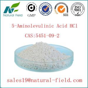 Quality hot selling in EU and USA 5-ALA HCL 5451-09-2 5-ala hcl for sale