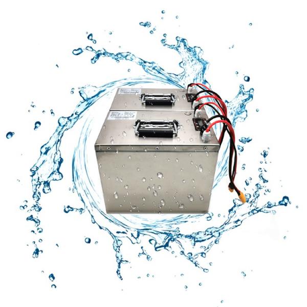 Buy OEM Portable LifePO4 Battery Lithium Ion With IP68 Waterproof SS Case at wholesale prices