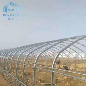 Single Span Plastic Tunnel Greenhouses Polyethylene Film Greenhouse For
