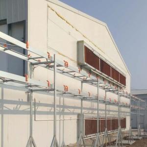 China Automatic Quail Feeding and Drinking System For Poultry House Equipment, Poultry Feeder For Broiler and Breeder on sale